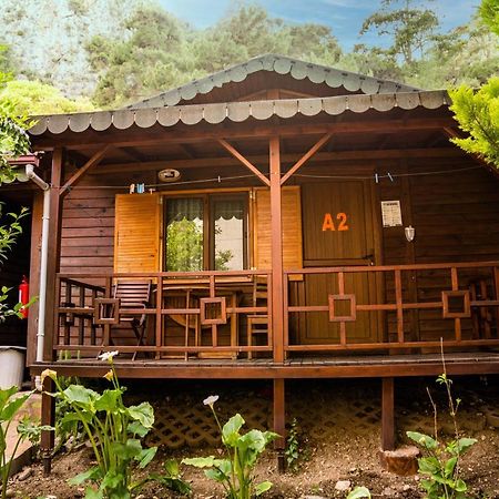Ikiz Pension Bungalow Çıralı Kültér fotó
