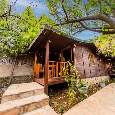 Ikiz Pension Bungalow Çıralı Kültér fotó