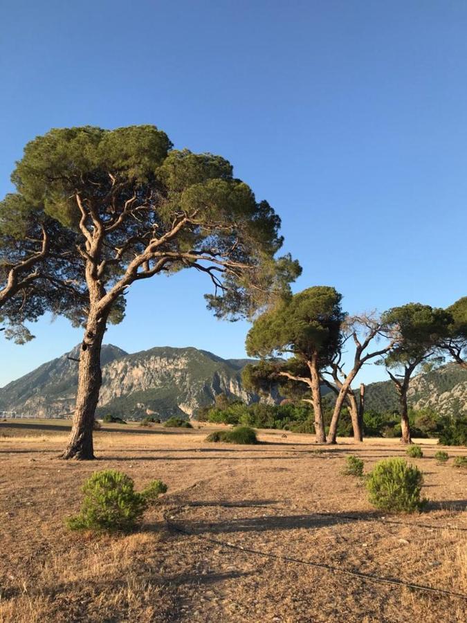 Ikiz Pension Bungalow Çıralı Kültér fotó