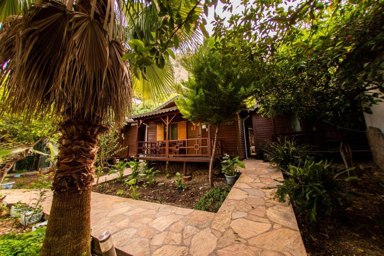 Ikiz Pension Bungalow Çıralı Kültér fotó