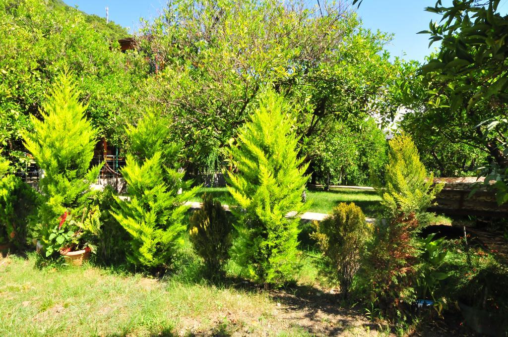 Ikiz Pension Bungalow Çıralı Szoba fotó